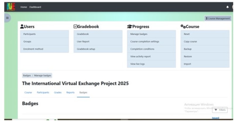 Virtual Exchange Initiatives